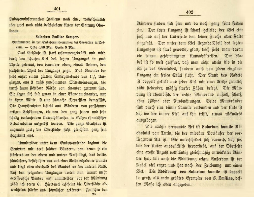 Discotectonica emiliae Semper, 1861 Original diagnosys