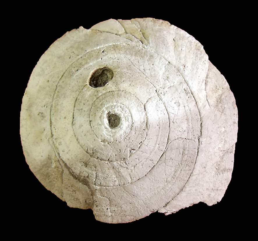 Discotectonica pseudoperspectiva (Brocchi, 1814). (Mollusca - Gastropoda - Architectonicidae). Orciano Pisano (Pisa) Tuscany. Pliocene. Apical view.