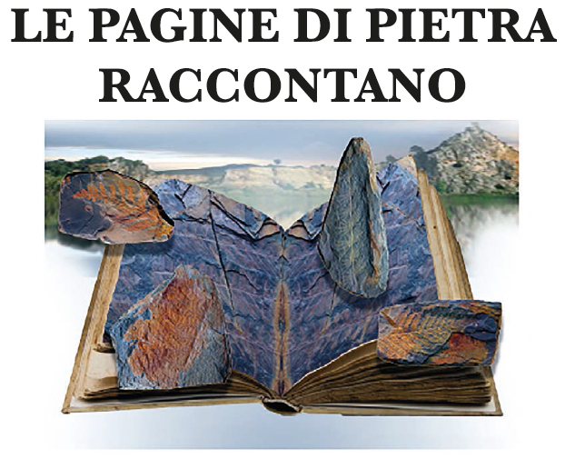 libro pietra toscana